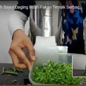 MPOM 50 Elektrik (2)